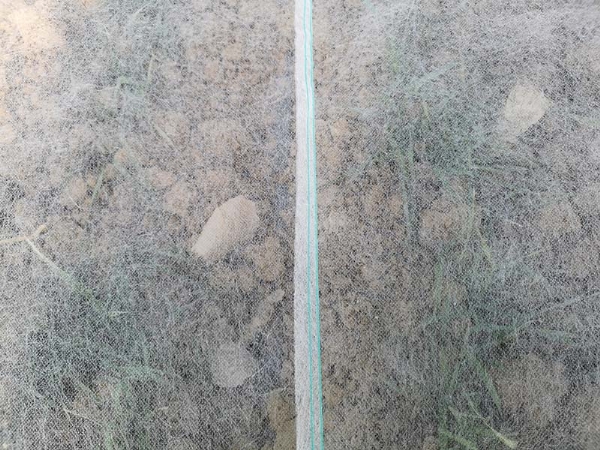 Extra wide stitching
